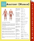 Anatomy (Human) (Speedy Study Guides) - eBook