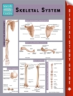 Skeletal System (Speedy Study Guides) - eBook