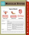 Muscular System (Speedy Study Guides) - eBook