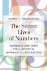 Secret Lives of Numbers : Numerals and Their Peculiarities in Mathematics and Beyond - eBook