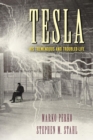 Tesla : His Tremendous and Troubled Life - eBook