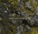 Spirited Stone : Lessons from Kubota's Garden - Book