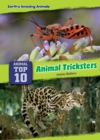 Animal Tricksters - eBook