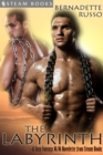 The Labyrinth - A Sexy Fantasy M/M Novelette from Steam Books - eBook