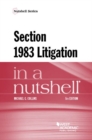 Section 1983 Litigation in a Nutshell - Book