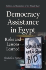 Democracy Assistance in Egypt : Risks & Lessons Learned - Book