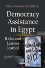 Democracy Assistance in Egypt : Risks and Lessons Learned - eBook
