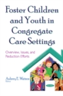 Foster Children & Youth in Congregate Care Settings : Overview, Issues, & Reduction Efforts - Book