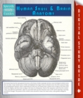 Human Skull And Brain Anatomy (Speedy Study Guide) - eBook