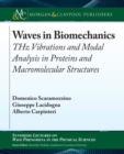 Waves in Biomechanics : THz Vibrations and Modal Analysis in Proteins and Macromolecular Structures - Book