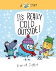 It's Really Cold Outside : A Really Bird Story - Book