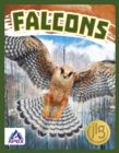 Birds of Prey: Falcons - Book