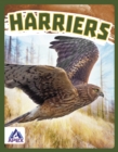 Birds of Prey: Harriers - Book