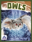 Birds of Prey: Owls - Book