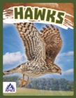 Birds of Prey: Hawk - Book