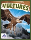 Birds of Prey: Vultures - Book