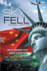 and the Sky Fell : Who Benefits? Who Loses? The Real Story Behind the Global Pandemic - eBook
