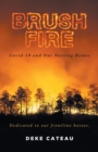 Brush Fire : Covid-19 and Our Nursing Homes - eBook