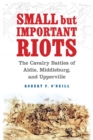 Small but Important Riots : The Cavalry Battles of Aldie, Middleburg, and Upperville - eBook