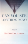 Can You See Anything Now? : A Novel - eBook