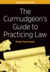 The Curmudgeon's Guide to Practicing Law, Second Edition - eBook