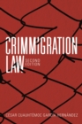 Crimmigration Law, Second Edition - eBook