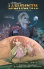 Jim Henson's Labyrinth: Coronation Vol. 3 - eBook