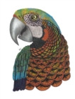 TangleEasy Lined Journal Parrot - Book
