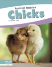 Animal Babies: Chicks - Book