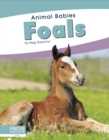 Animal Babies: Foals - Book