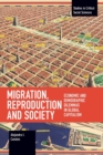 Migration, Reproduction and Society : Economic and Demographic Dilemmas in Global Capitalism - Book