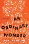 An Ordinary Wonder : A Novel - eBook