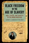 Black Freedom in the Age of Slavery : Race, Status, and Identity in the Urban Americas - Book