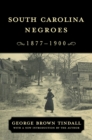 South Carolina Negroes, 1877-1900 - eBook