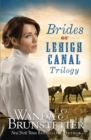 Brides of Lehigh Canal Trilogy - eBook