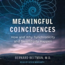 Meaningful Coincidences : How and Why Synchronicity and Serendipity Happen - eAudiobook