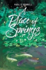 A Place of Springs - eBook