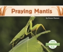 Incredible Insects: Praying Mantis - Book