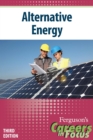 Careers in Focus: Alternative Energy, Third Edition - eBook
