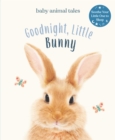Goodnight, Little Bunny - eBook