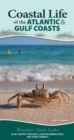 Coastal Life of the Atlantic and Gulf Coasts : Easily Identify Seashells, Beachcoming Finds, and Iconic Animals - Book