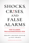 Shocks, Crises, and False Alarms : How to Assess True Macroeconomic Risk - Book