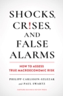 Shocks, Crises, and False Alarms : How to Assess True Macroeconomic Risk - eBook