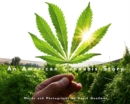An American Cannabis Story - Book