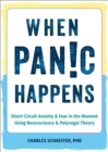 When Panic Happens : Short-Circuit Anxiety and Fear in the Moment Using Neuroscience and Polyvagal Theory - Book
