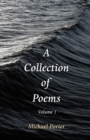 A Collection of Poems : Volume 1 - eBook