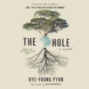 Hole, The - eAudiobook