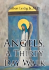 Angels, A Thirty Day Walk - eBook