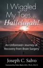I Wiggled My Toes ... Hallelujah! : An Unforeseen Journey of Recovery  from Brain Surgery - eBook