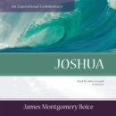 Joshua - eAudiobook